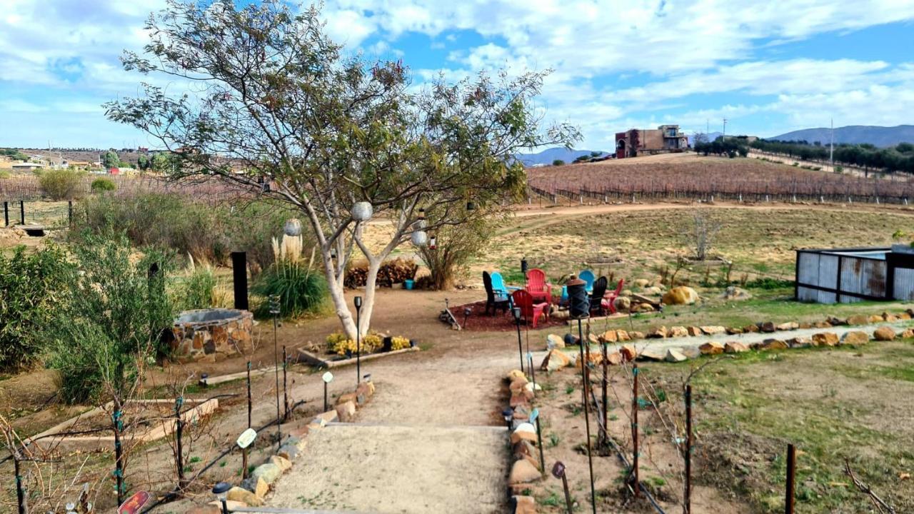 Finca Vidandrei Casa Eucalipto Valle de Guadalupe Exteriér fotografie