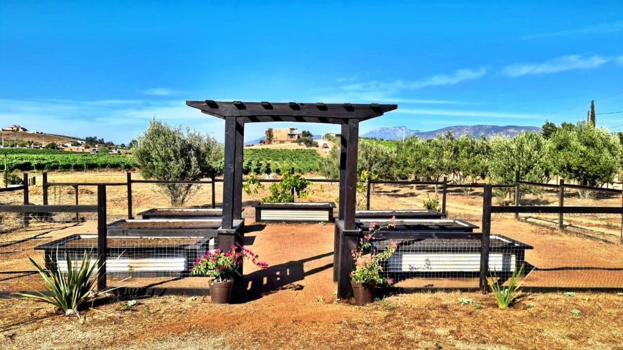 Finca Vidandrei Casa Eucalipto Valle de Guadalupe Exteriér fotografie