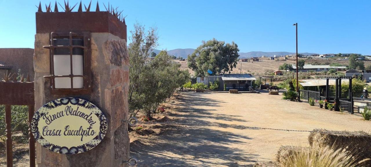 Finca Vidandrei Casa Eucalipto Valle de Guadalupe Exteriér fotografie