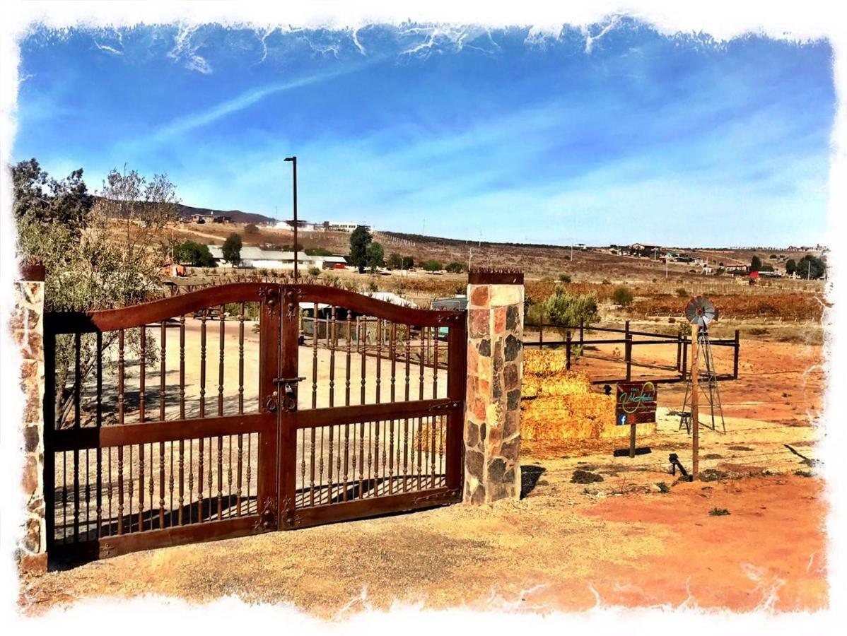 Finca Vidandrei Casa Eucalipto Valle de Guadalupe Exteriér fotografie